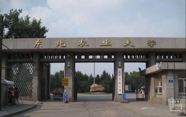 中国“双一流”农林类大学共8所，中国农业大学位列农林类榜首