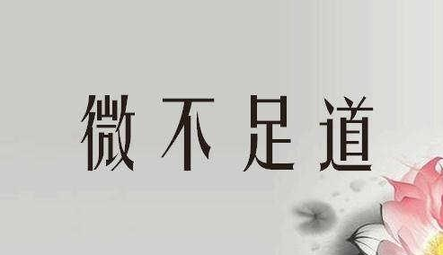小学语文：微不足道造句