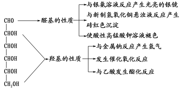 高中化学必修二知识点易错警示全整理总结