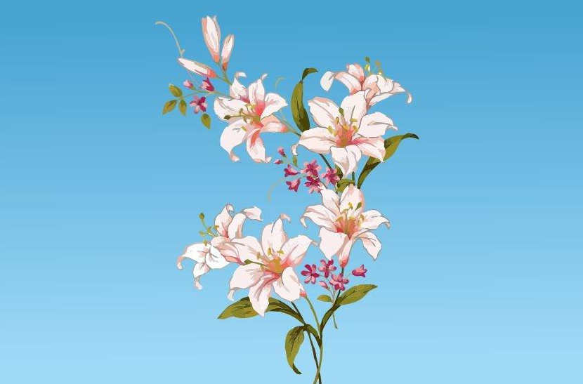 小学语文：举世无双造句
